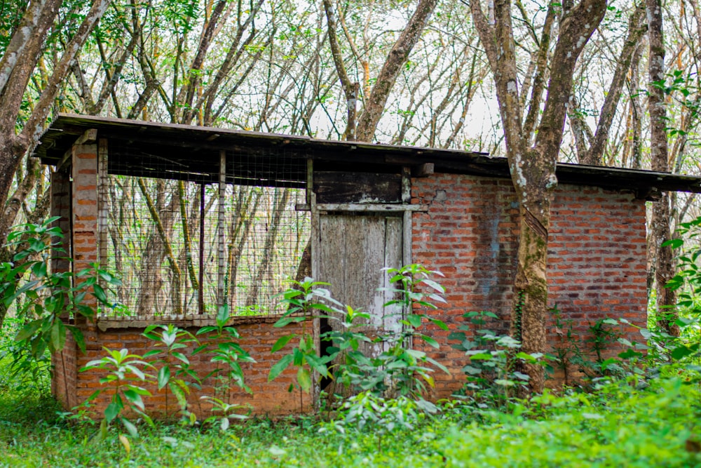 an old outhouse in the middle of the woods