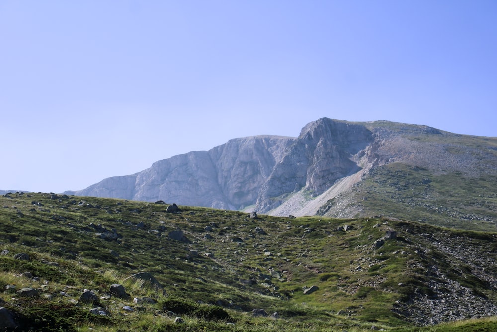 a mountain range with a grassy field below