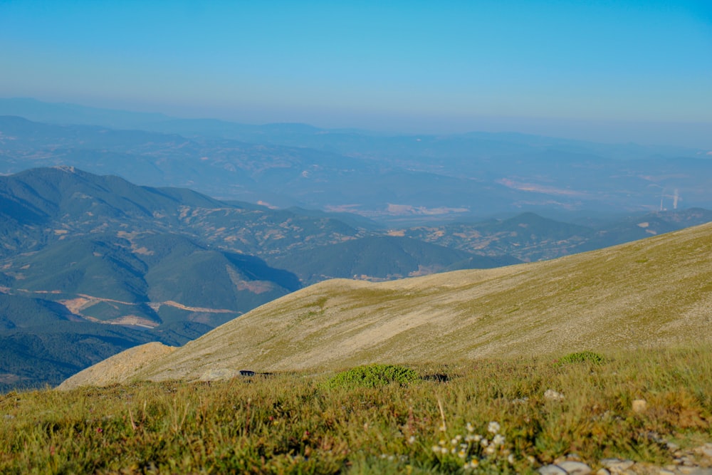 a man riding a horse on top of a lush green hillside