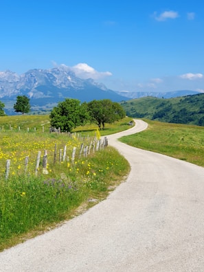 A winding trail cutting through wild valleys dotted with vibrant wildflowers.