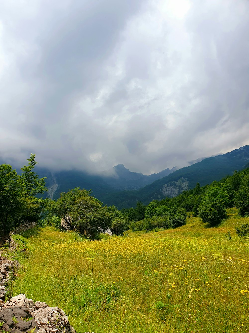 a field with rocks and grass and mountains in the background