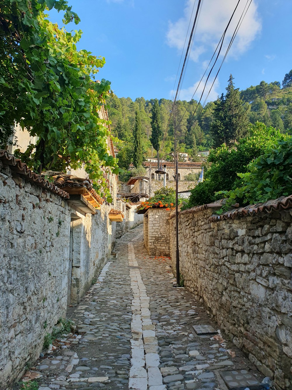 a cobblestone street in a small village