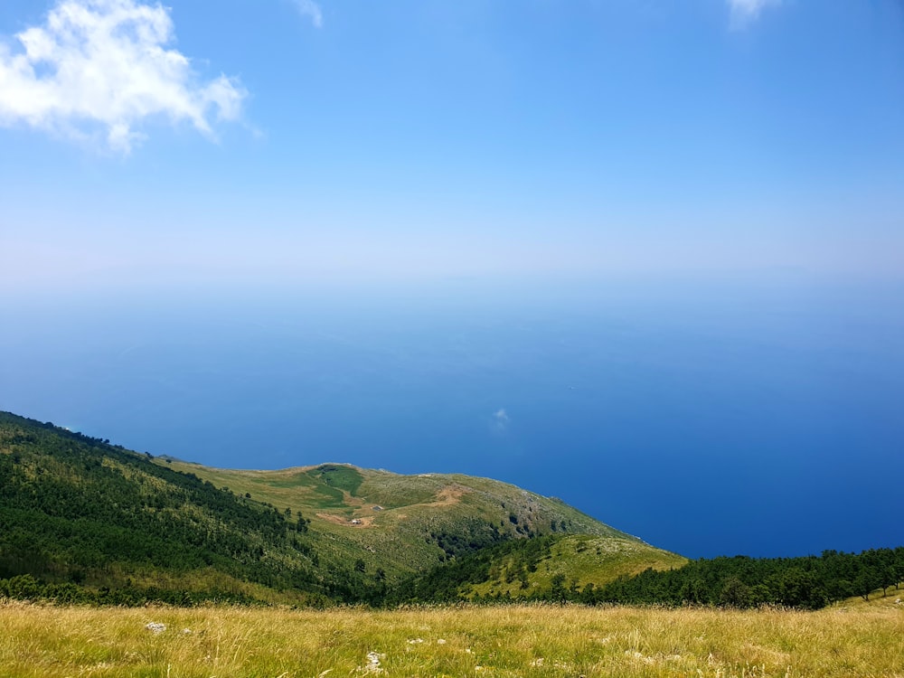 Un campo cubierto de hierba con una montaña al fondo