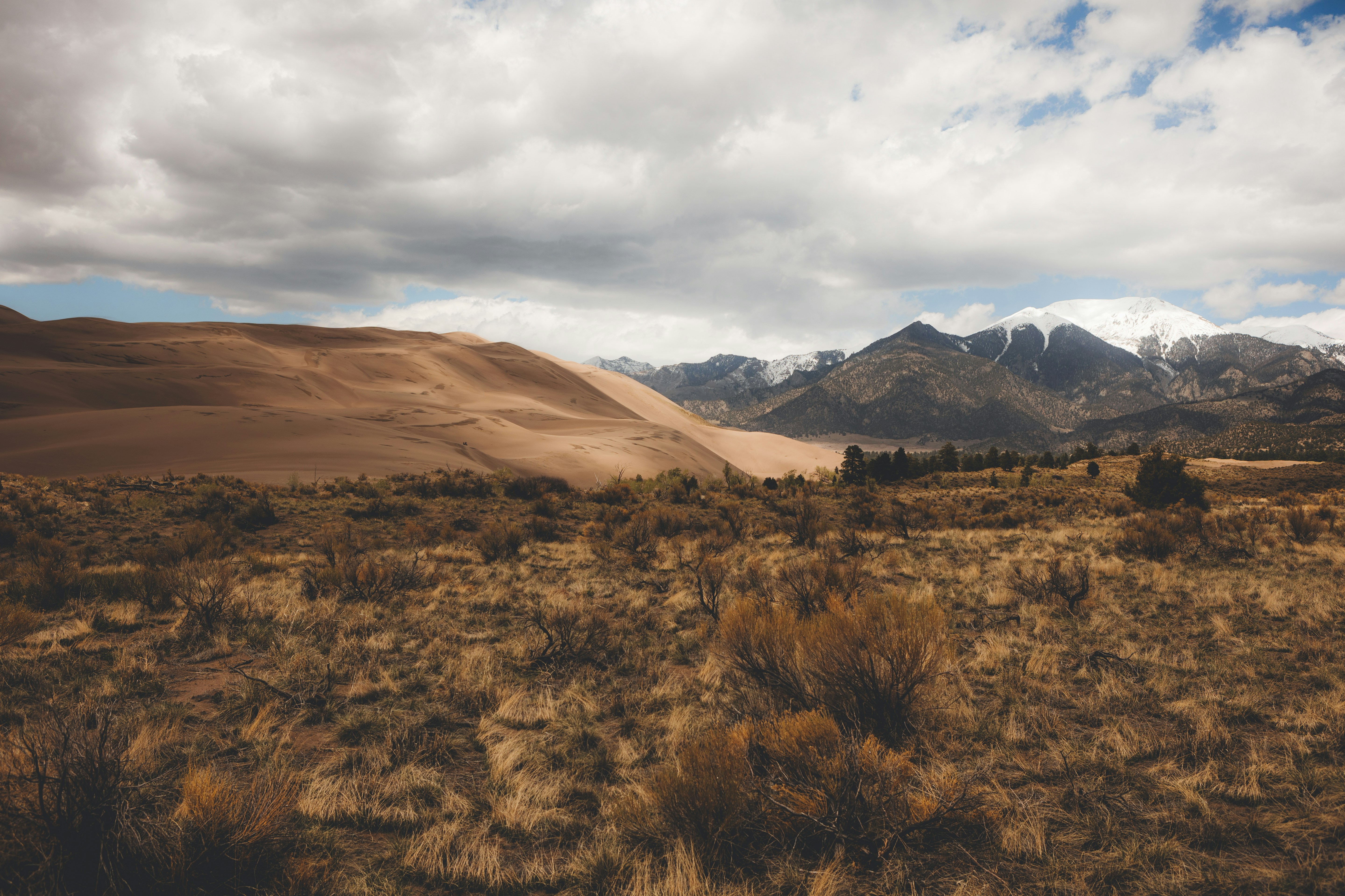 Photo by timpridmore