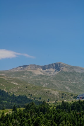 A serene mountain landscape with a clear blue sky. The foreground features lush green forests, while the background showcases a large mountain with sparse vegetation and rocky surfaces.