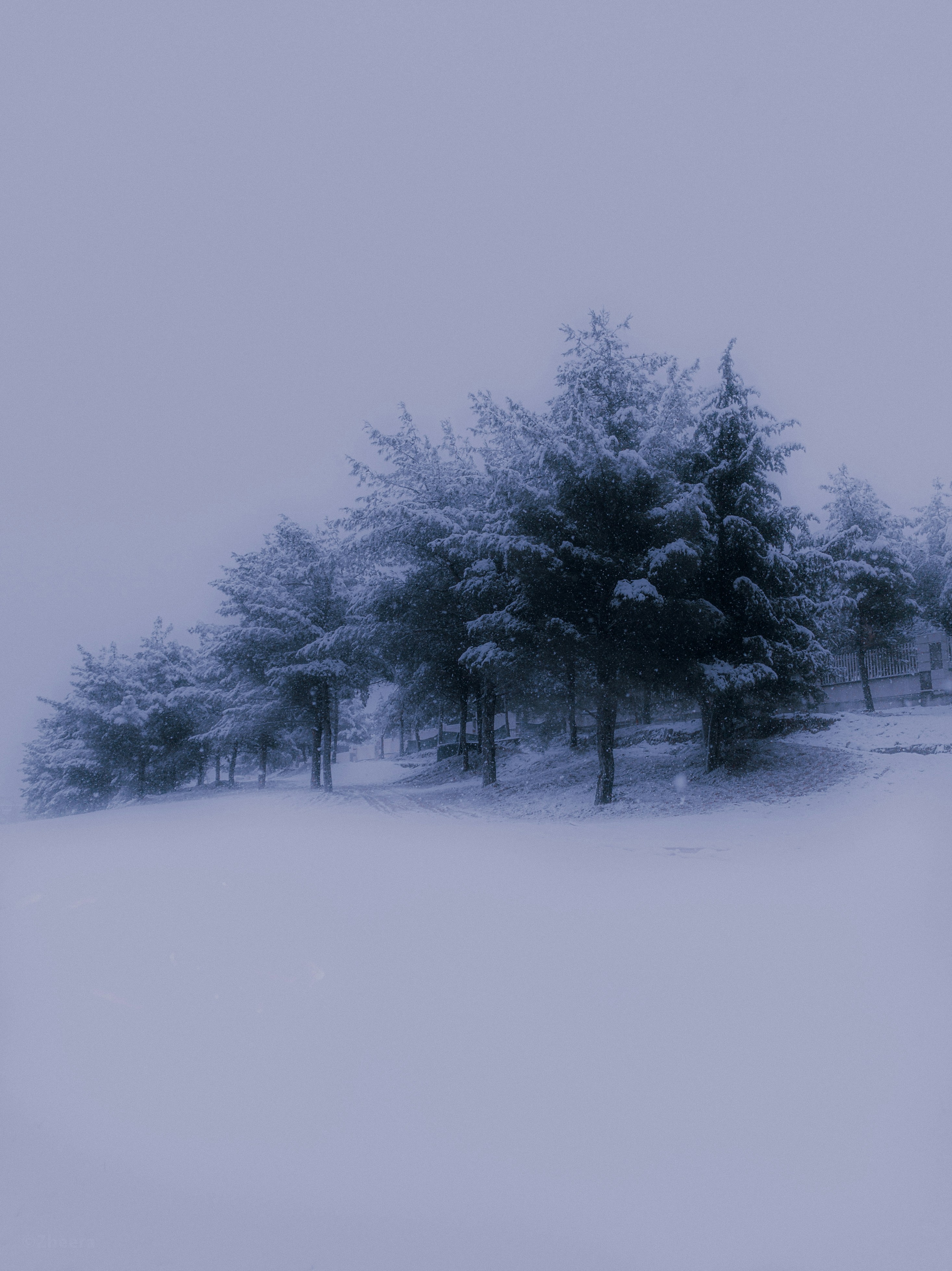 Photo by visualzheer