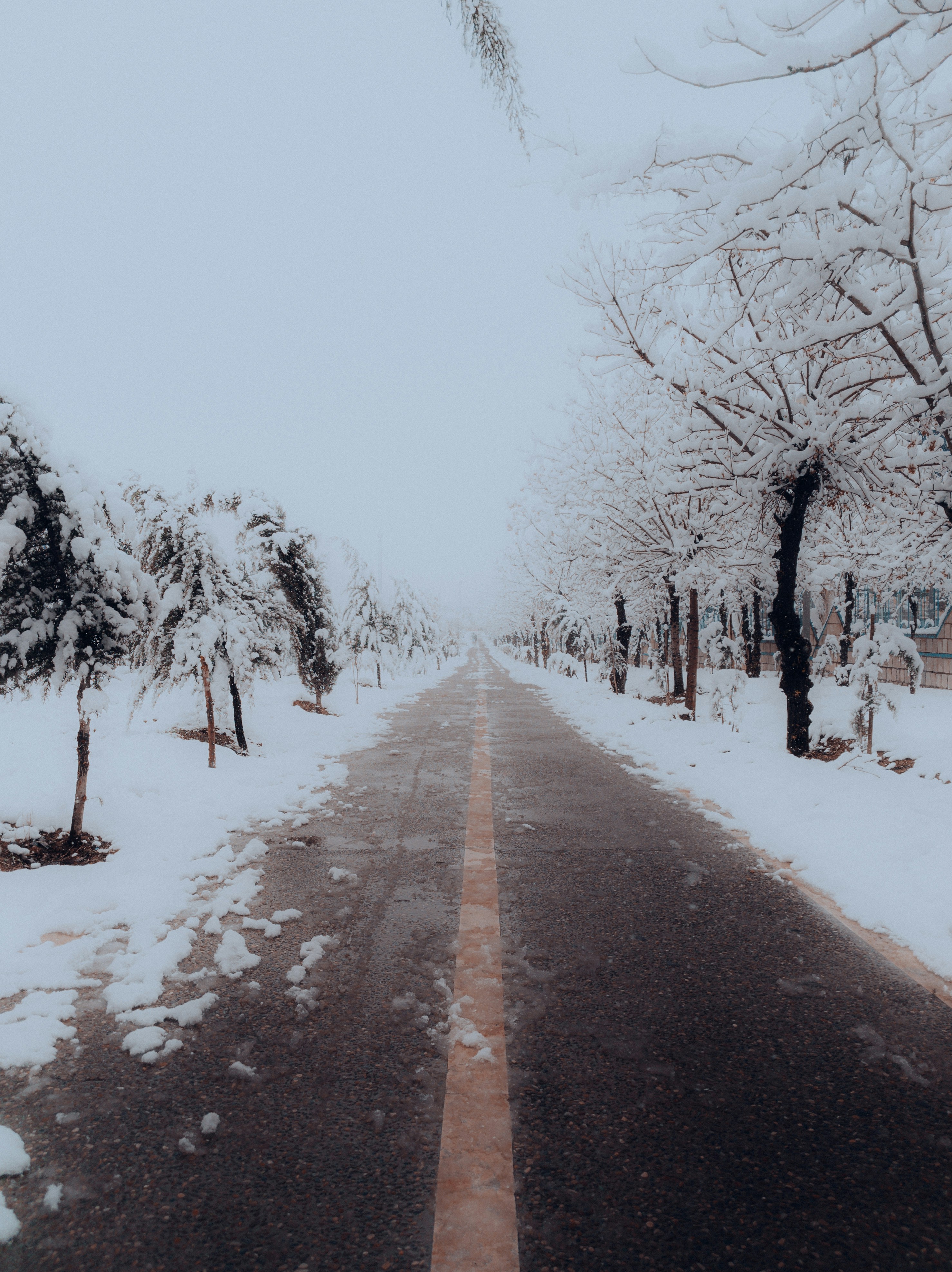 Photo by visualzheer