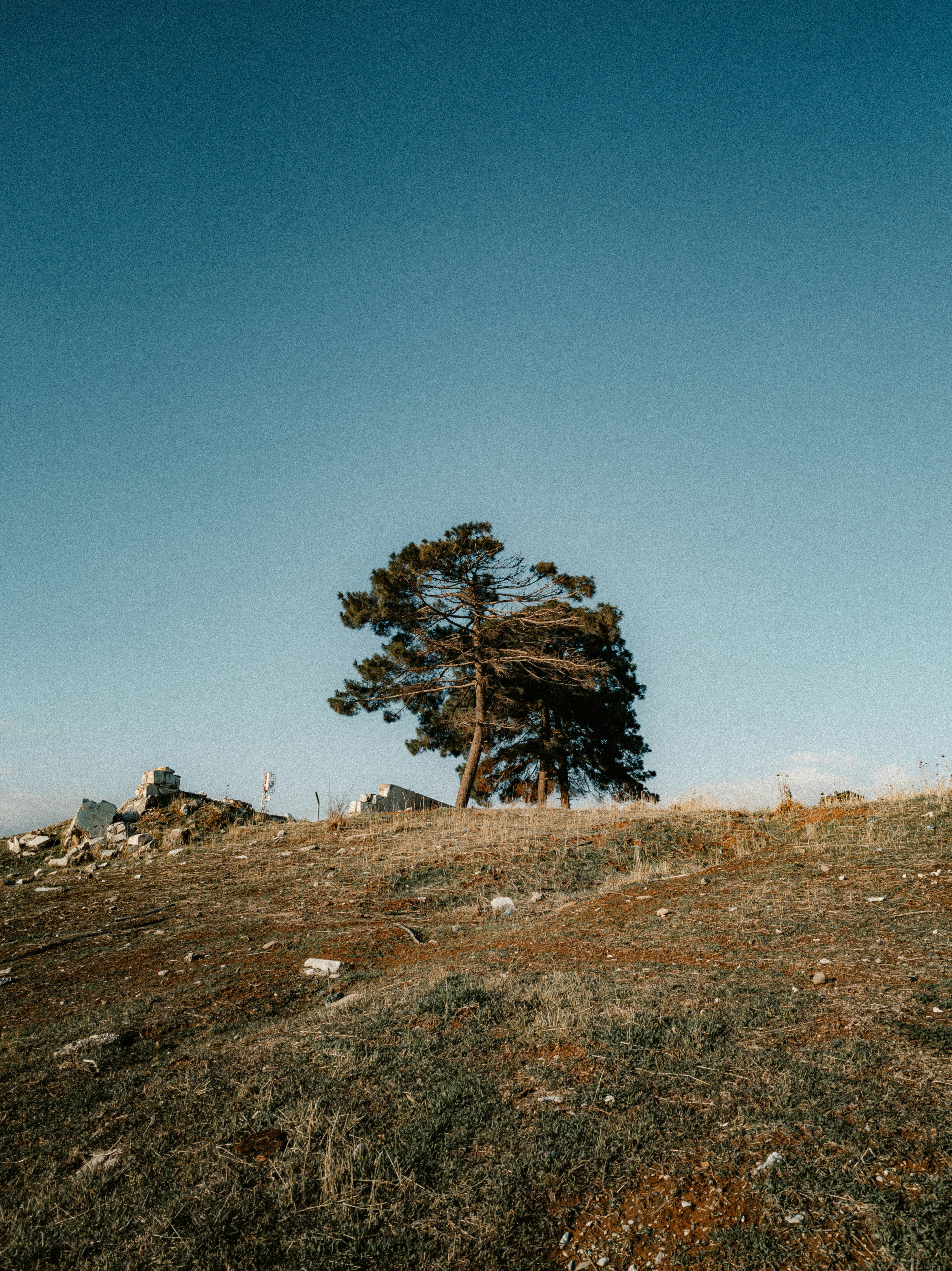 Photo by visualzheer