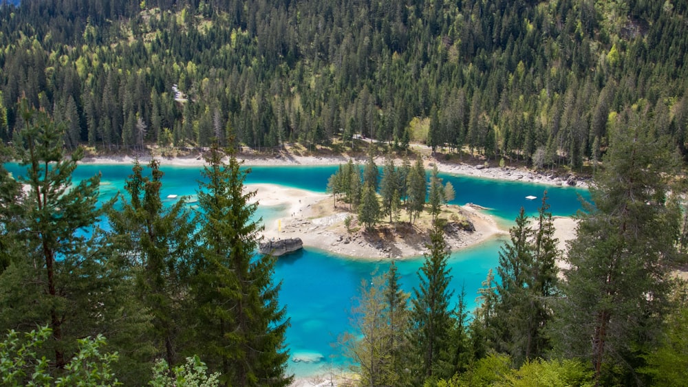 a blue lake surrounded by trees in a forest