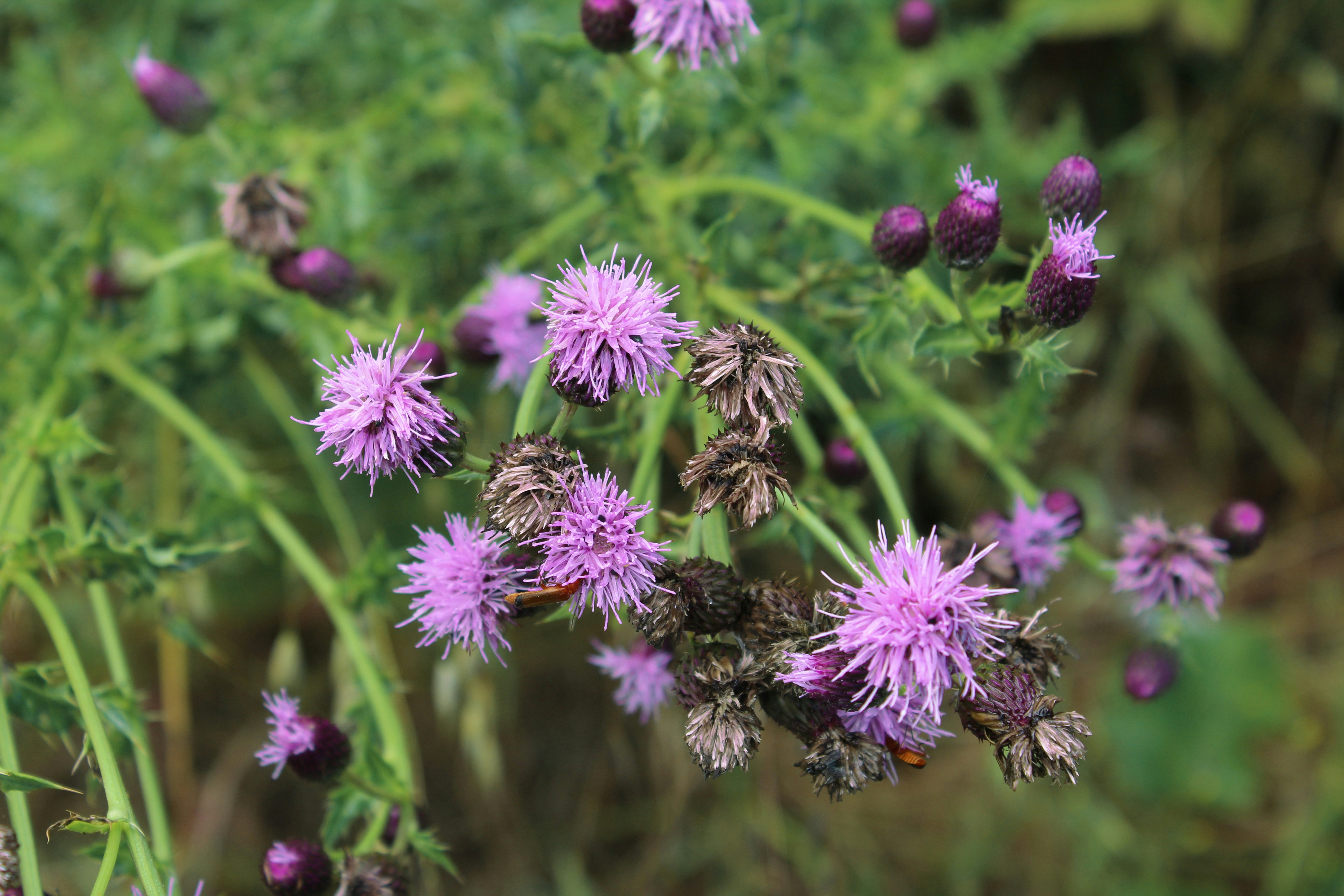 Photo by julia_fiander