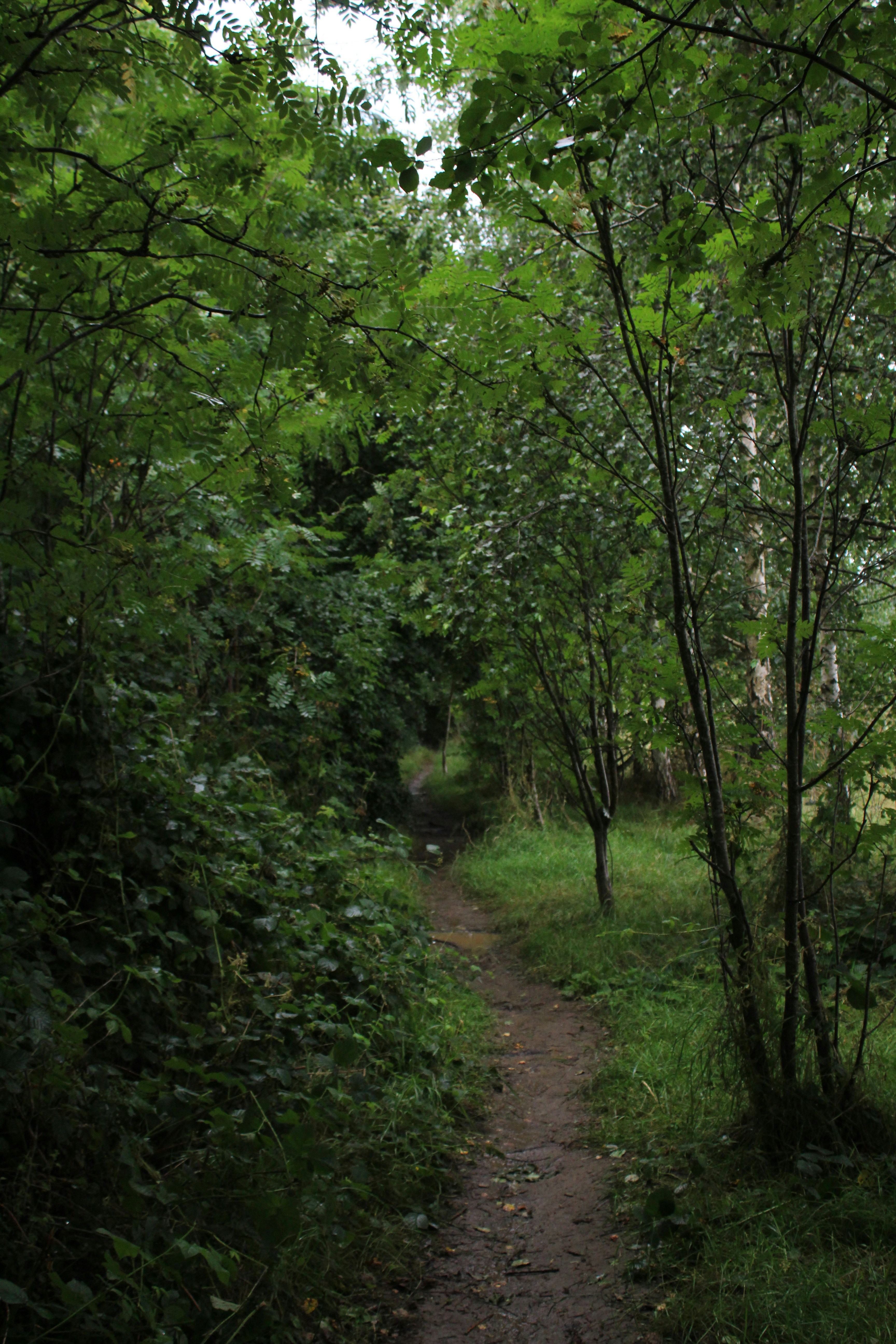 Photo by julia_fiander