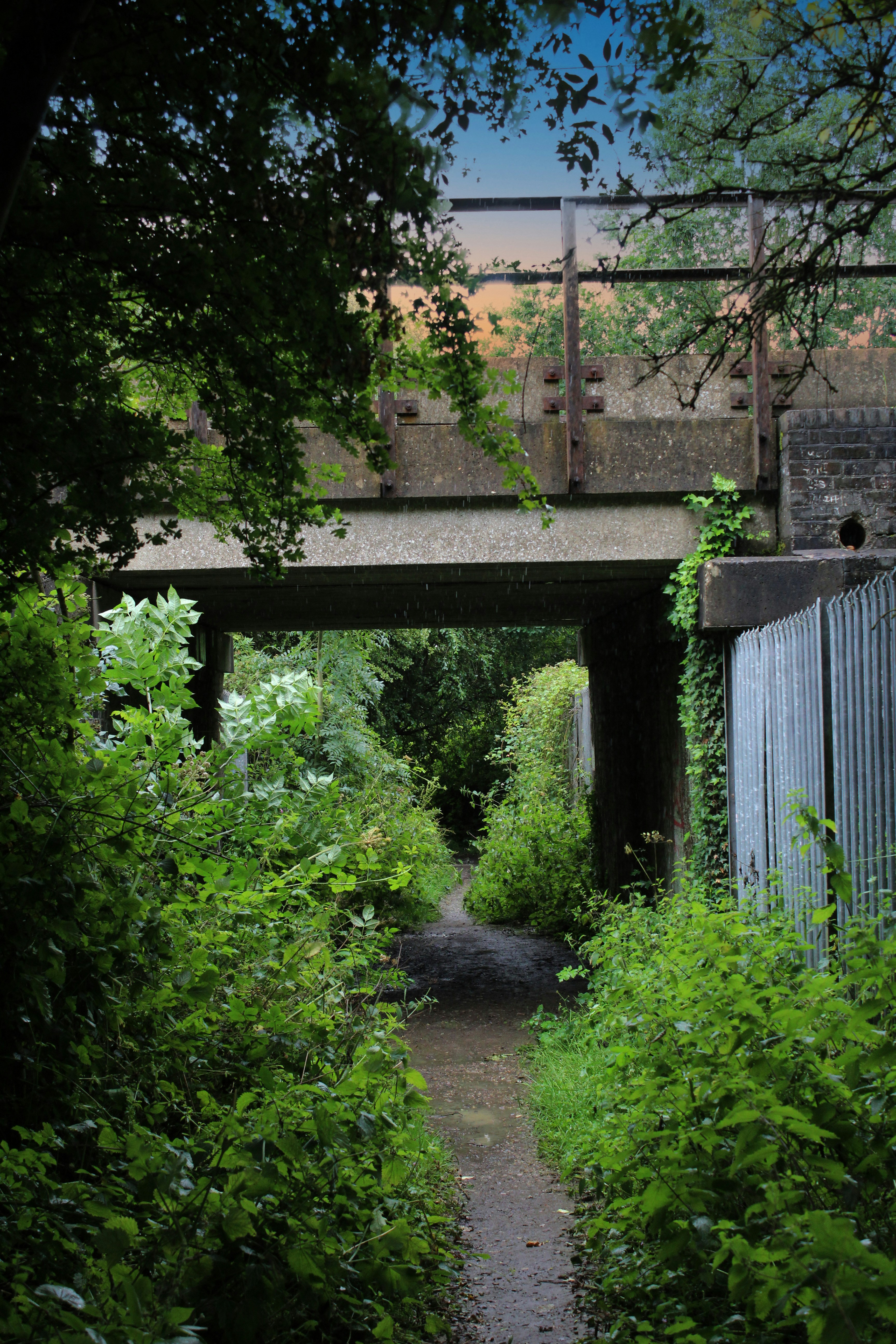 Photo by julia_fiander