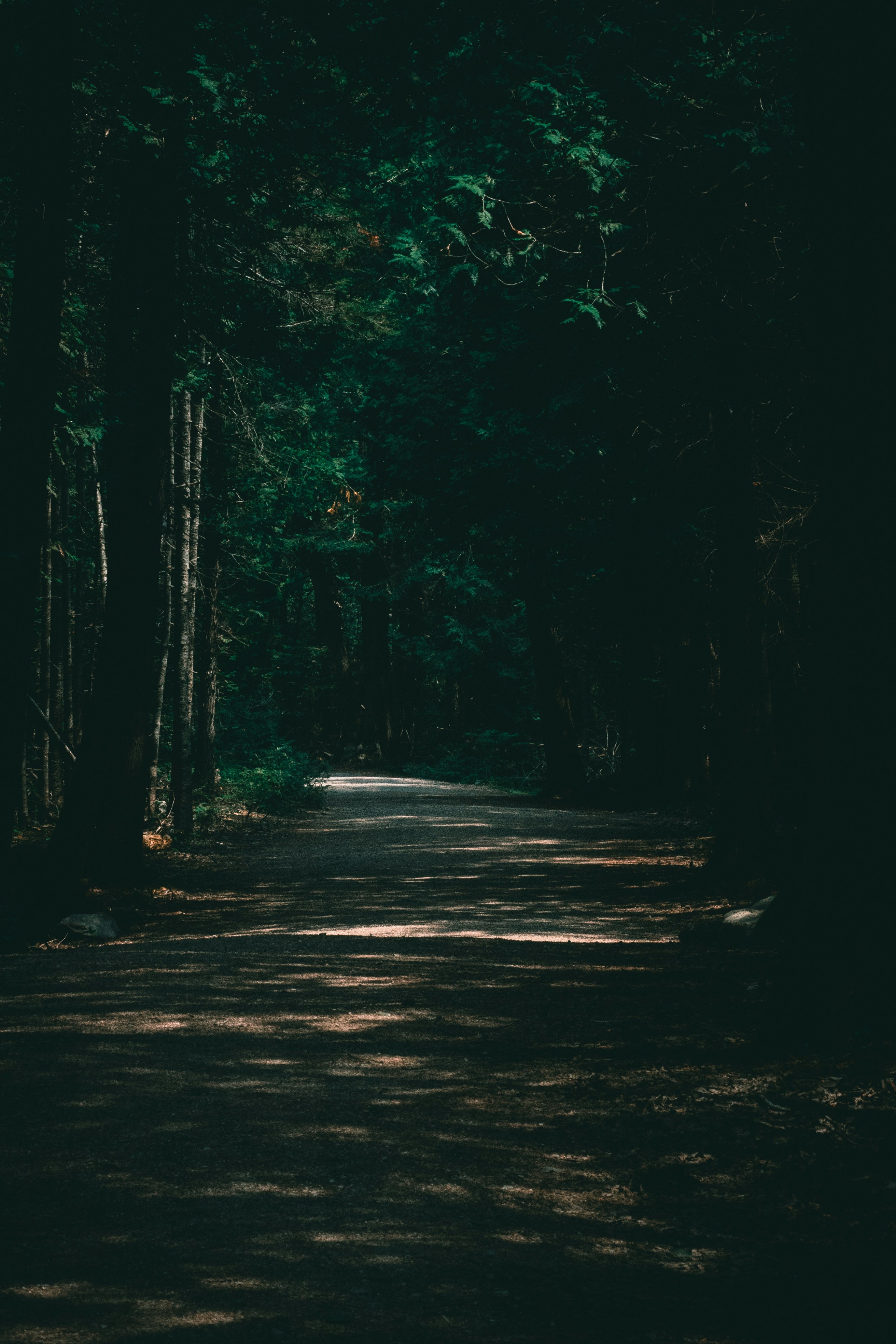 Photo by chris_thornton