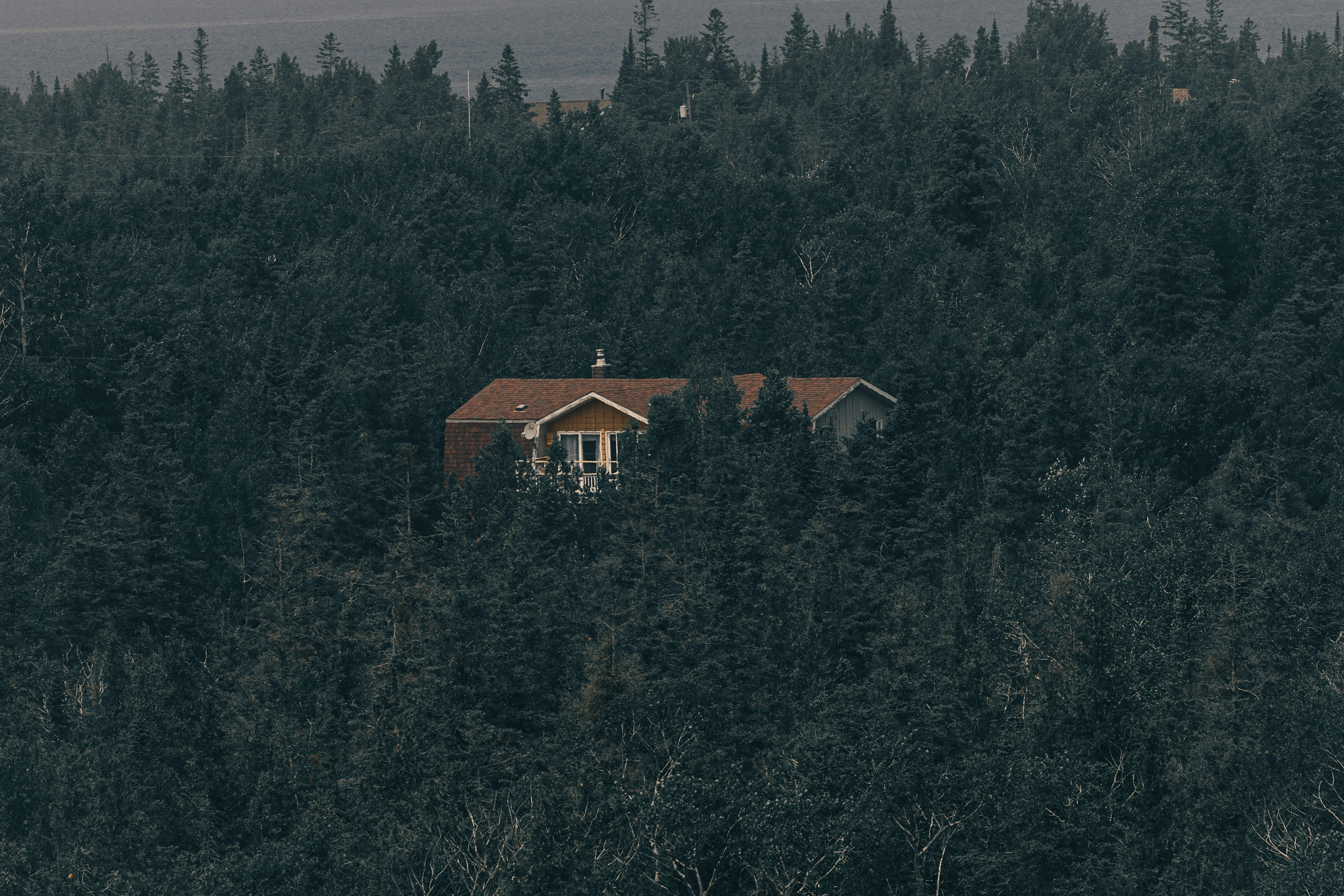 a house in the middle of a forest