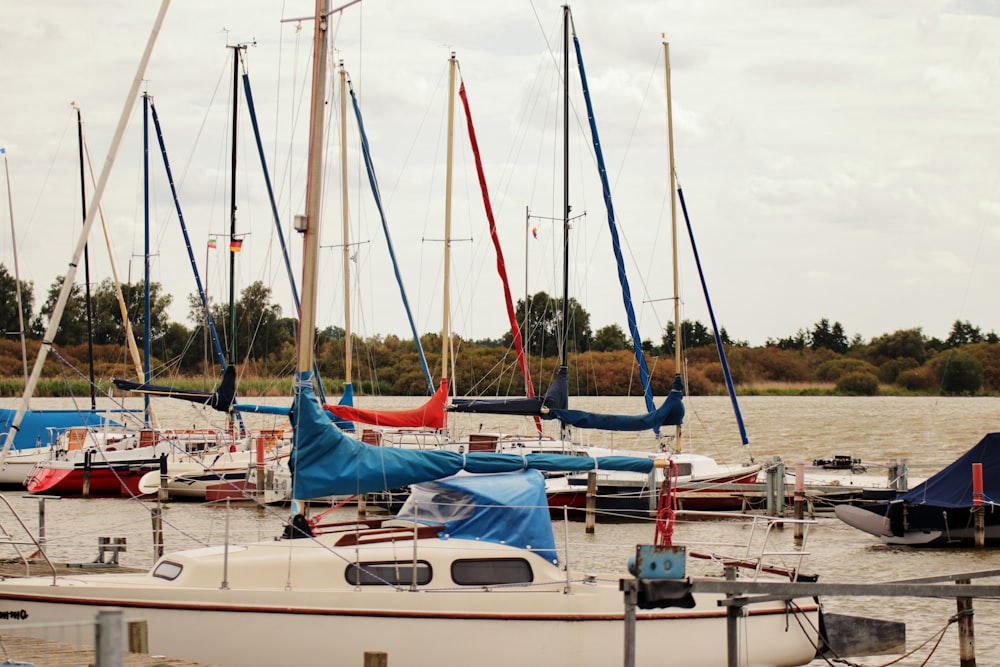 a group of sailboats docked at a dock