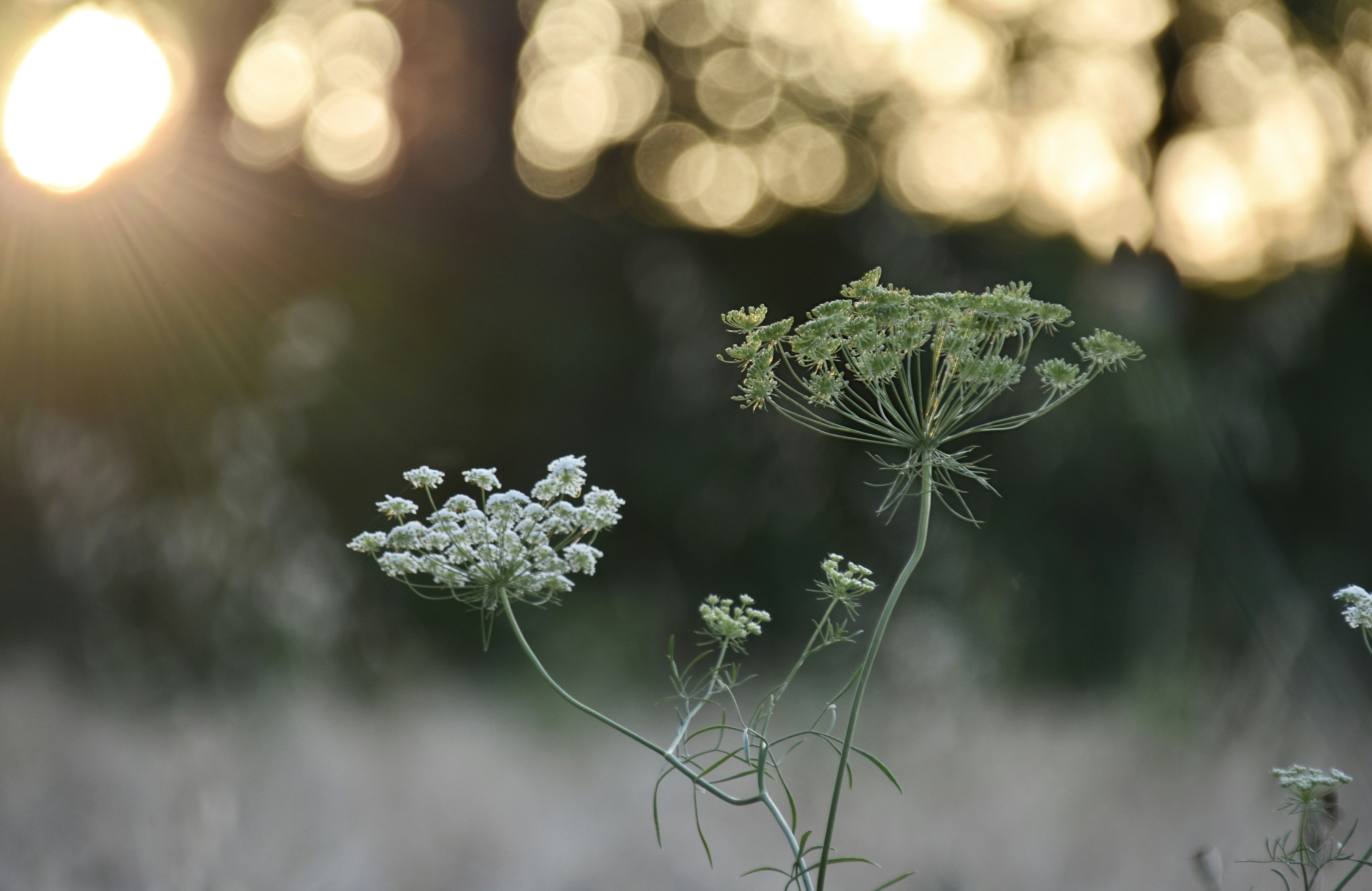 Photo by mariobeducci