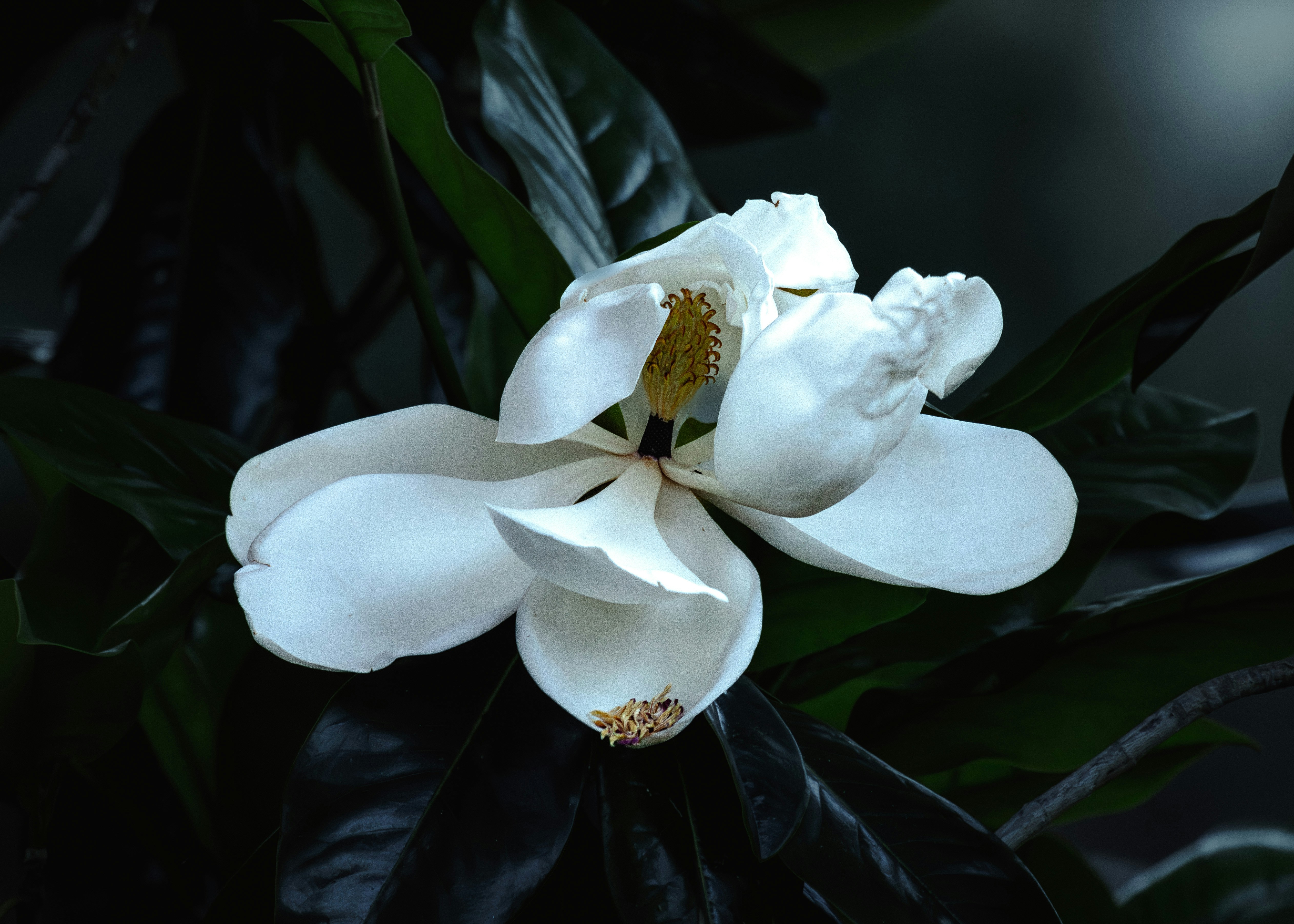 Photo by parkerdesignsss