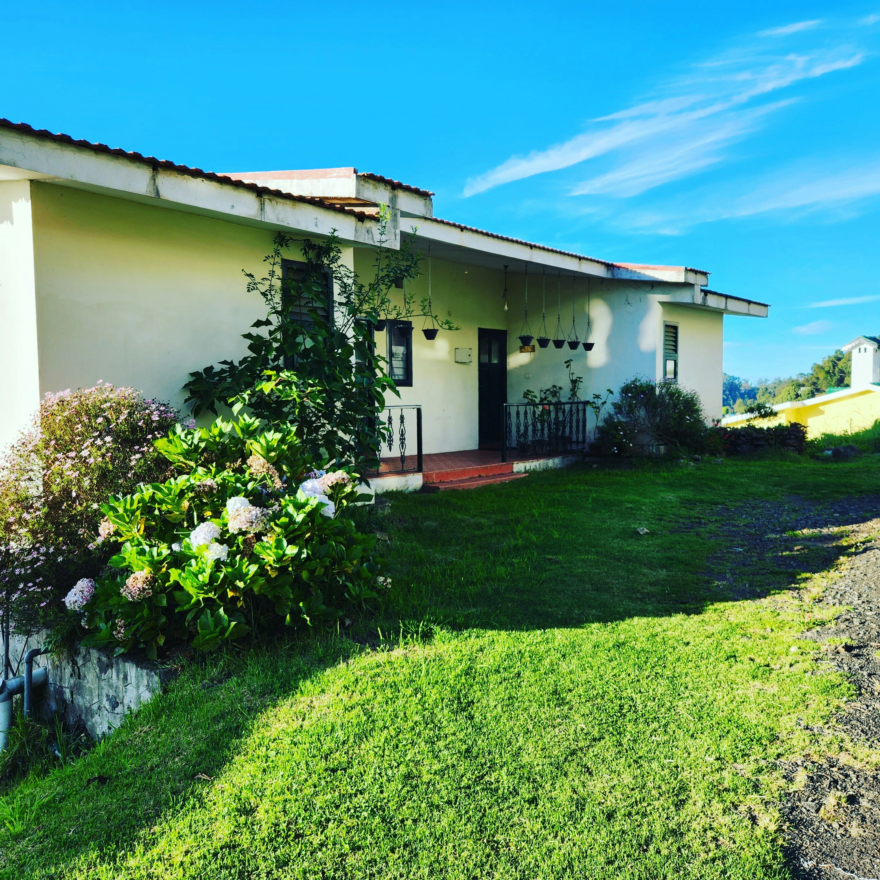 Cozy Modern Bungalow