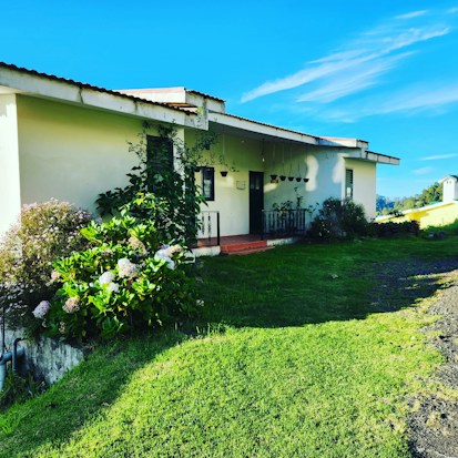 A single-story house with a flat roof, surrounded by greenery. The exterior walls are light-colored, and there is lush grass in the foreground. The porch has several hanging planters and a few blooming shrubs near the entrance.