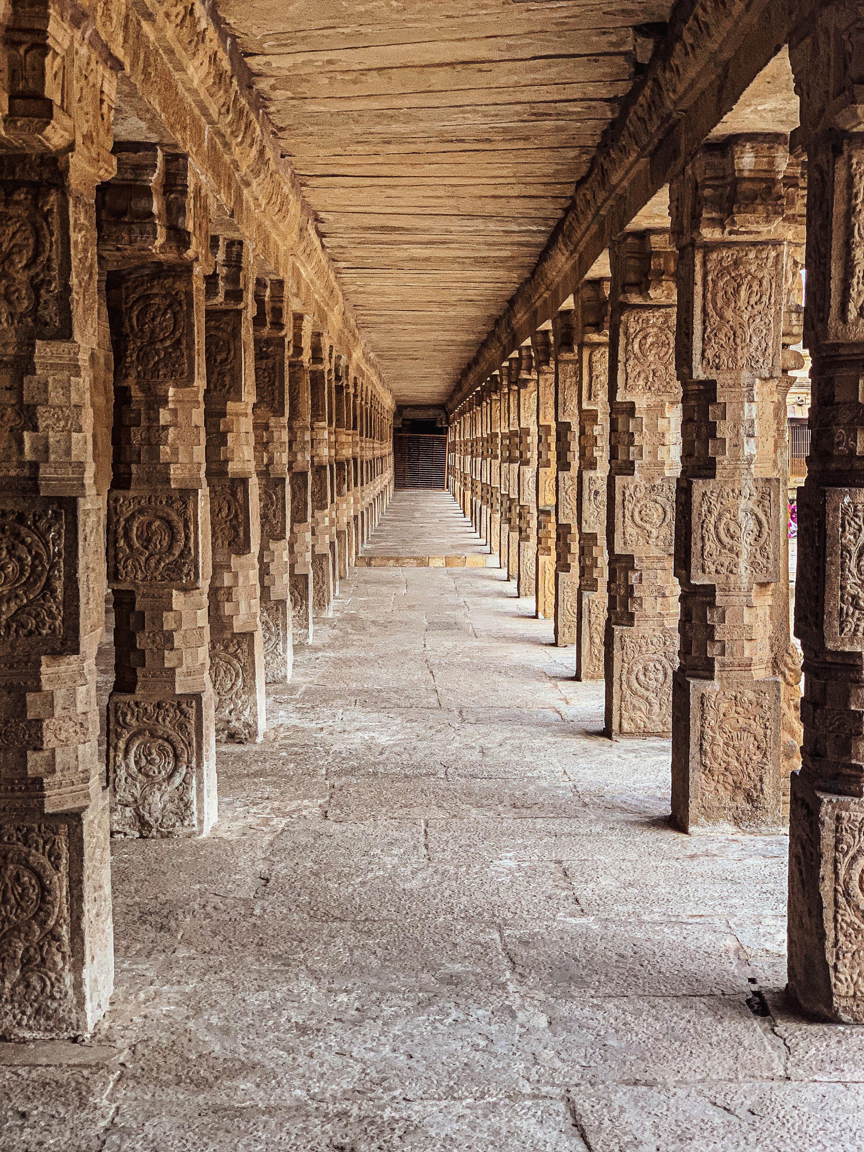 Photo by gauthamarcot