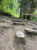 A rugged hiking trail with stone steps winds through a lush, green forest. Tall trees with dense foliage cover the area, and a wooden railing lines part of the path. The ground is earthy with visible rocks and some moss.