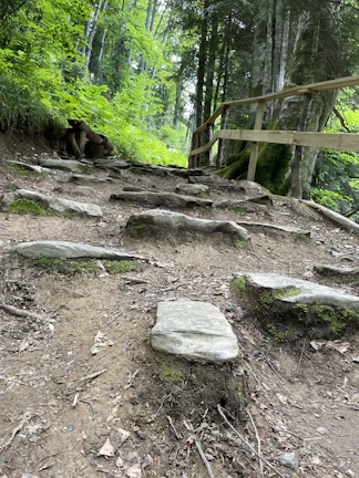 A rugged mountain trail winding through lush green forests.