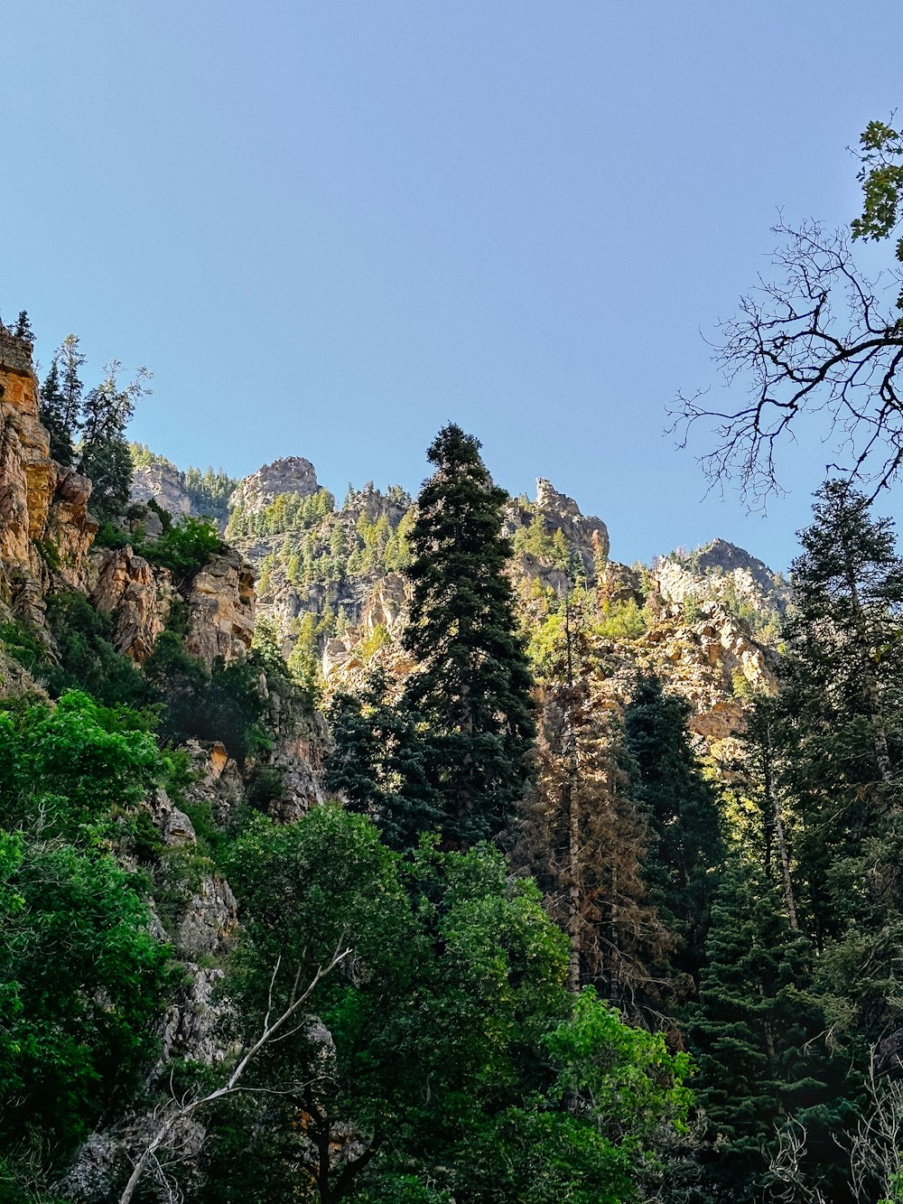 a group of animals grazing on a lush green hillside