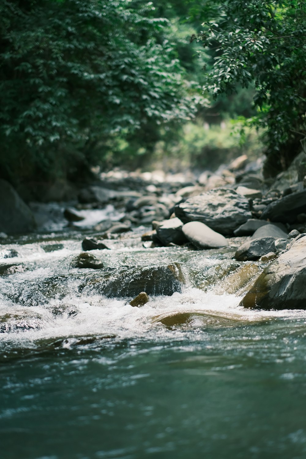 a man standing on a rock in the middle of a river