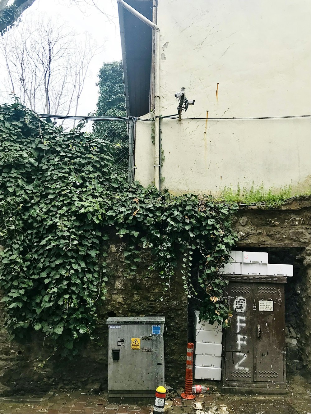 a building with vines growing on the side of it