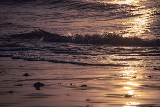 Golden hour light casting a warm glow on a beachside outfit laid out neatly.