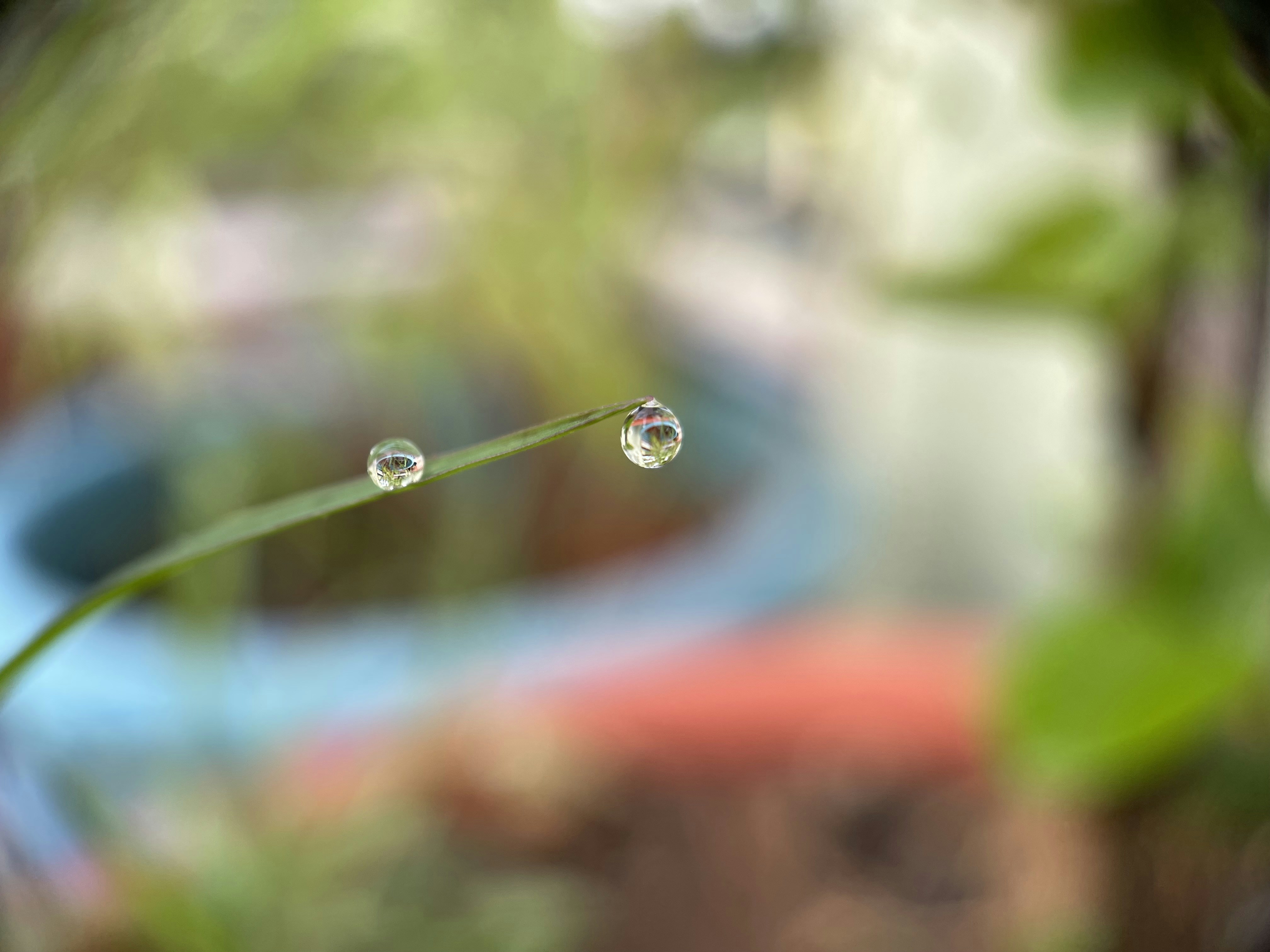 Photo by puneethuppara