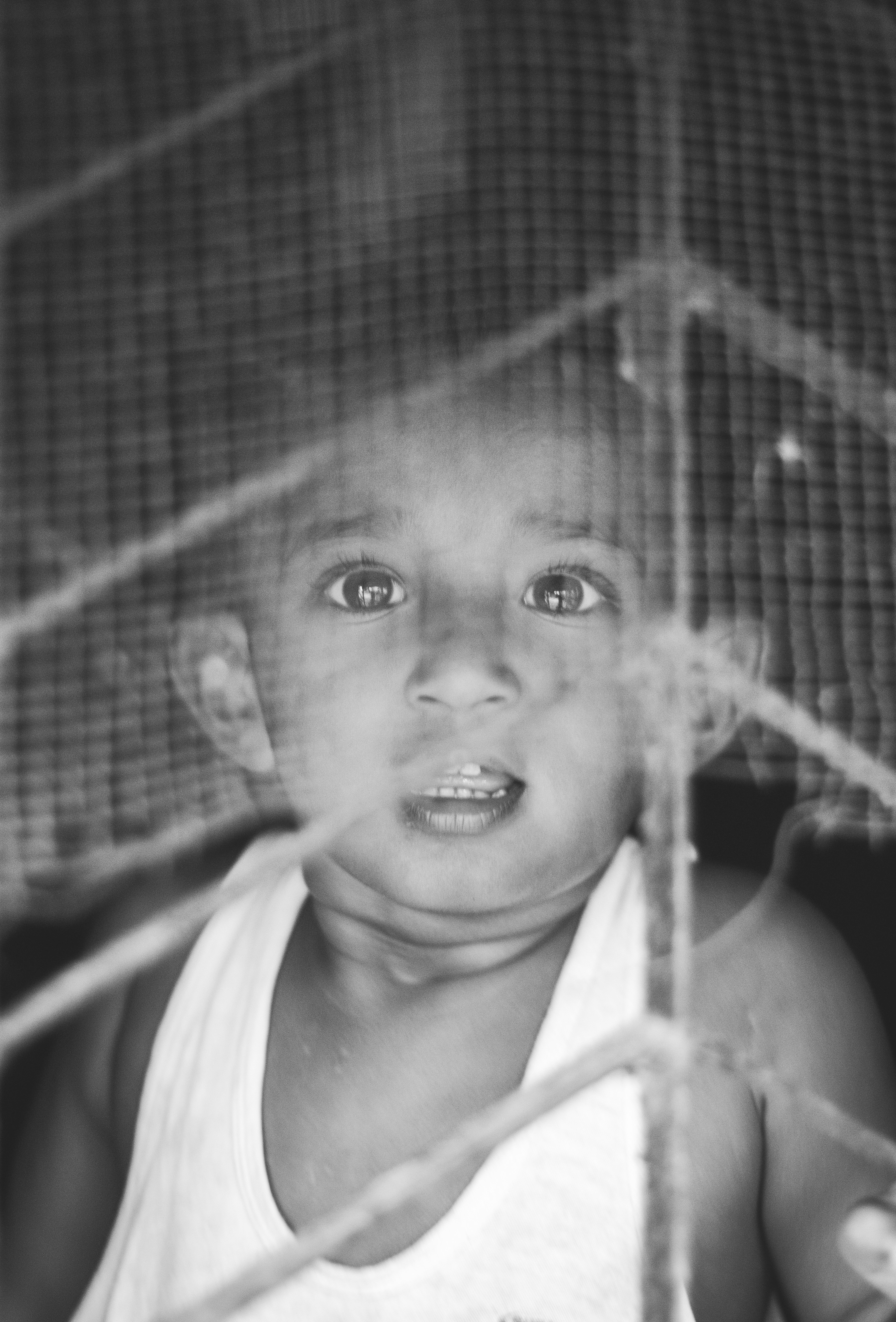 Photo by shakib2777