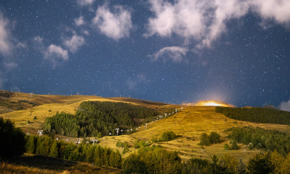 a hill with trees and a sky full of stars