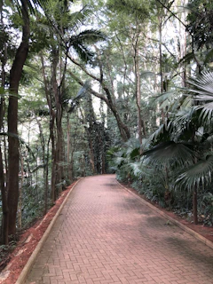 A winding forest trail near the farmstay inviting guests for a peaceful hike