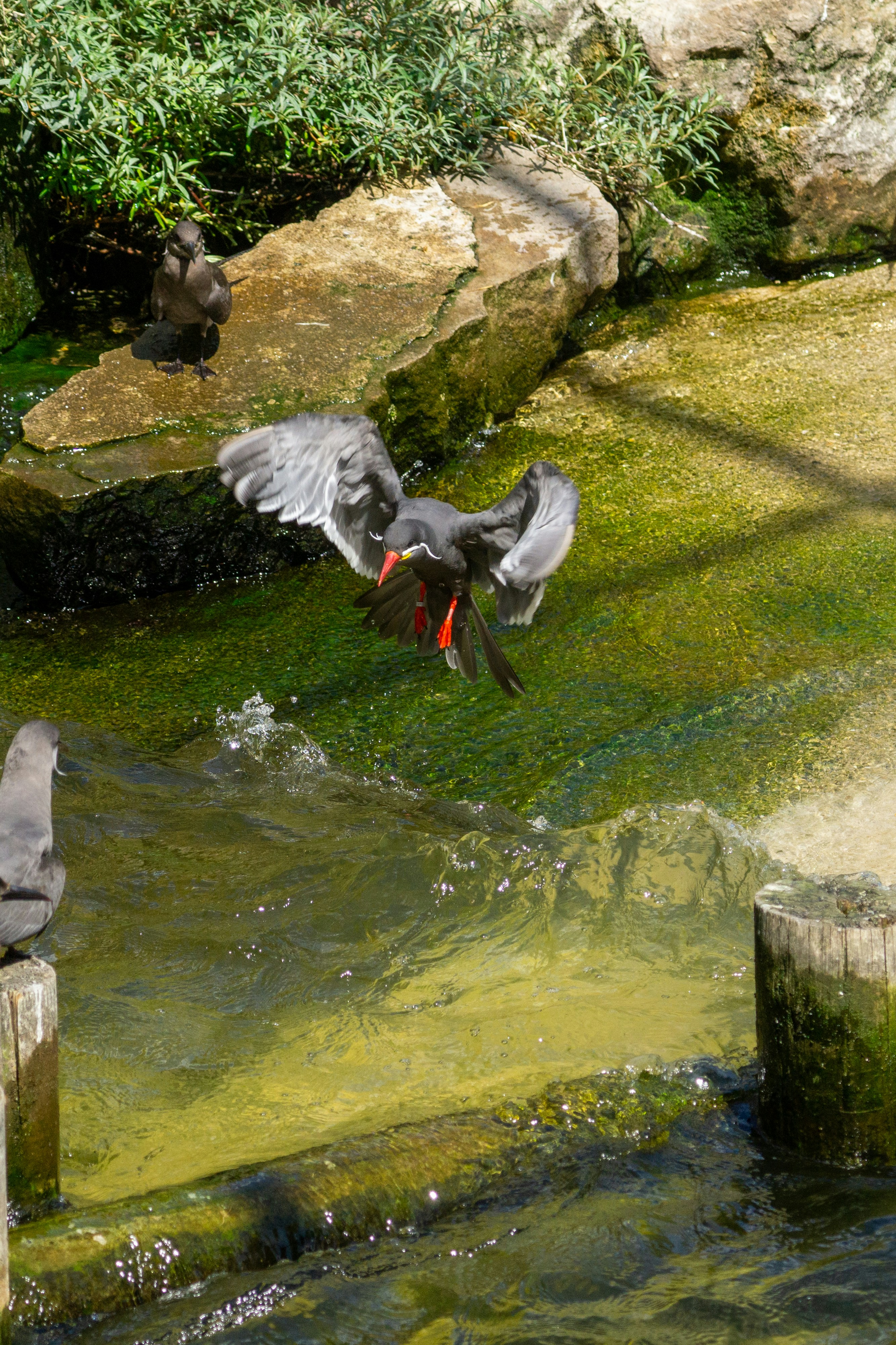 Photo by robertschwarz