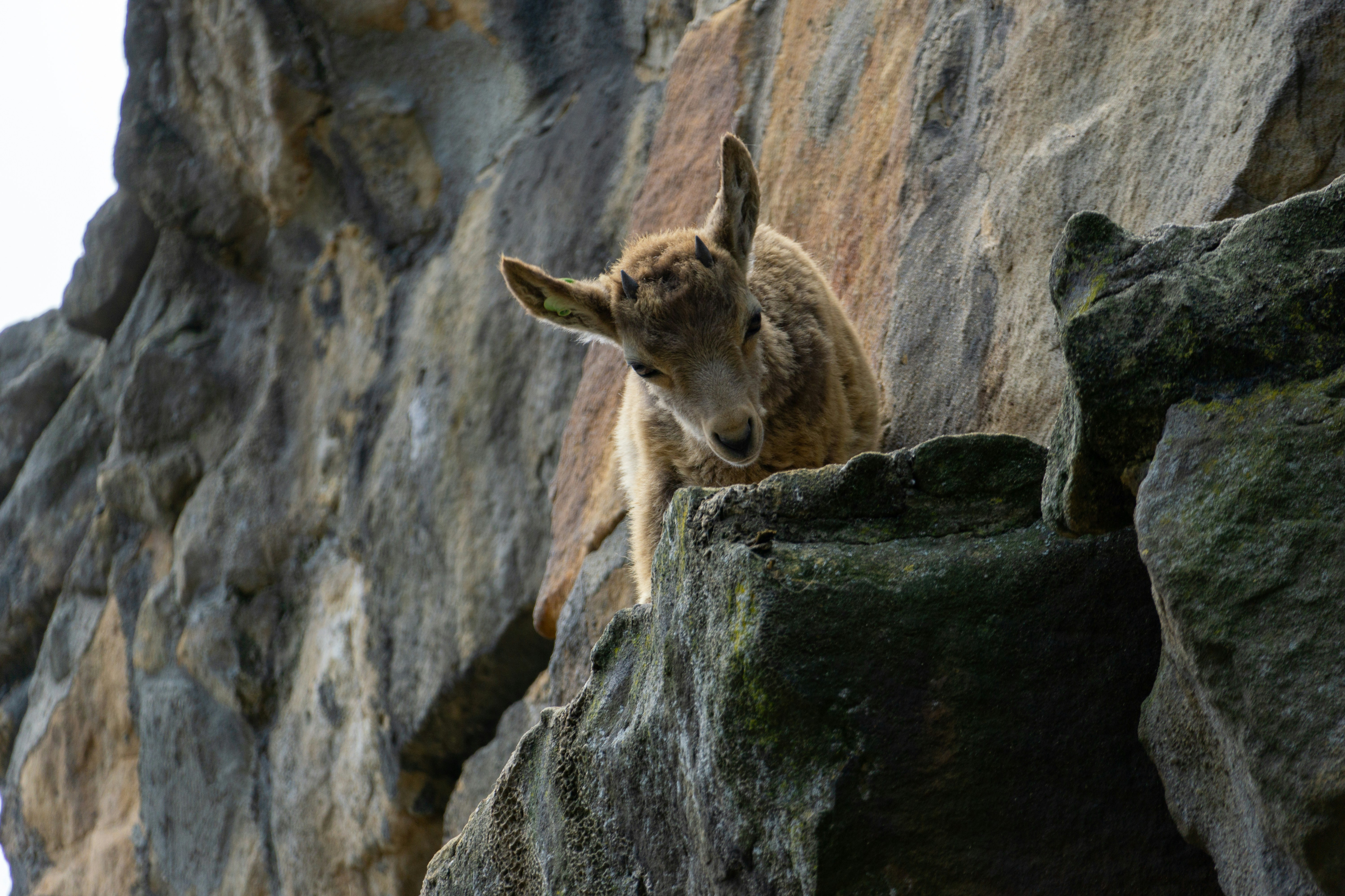 Photo by robertschwarz