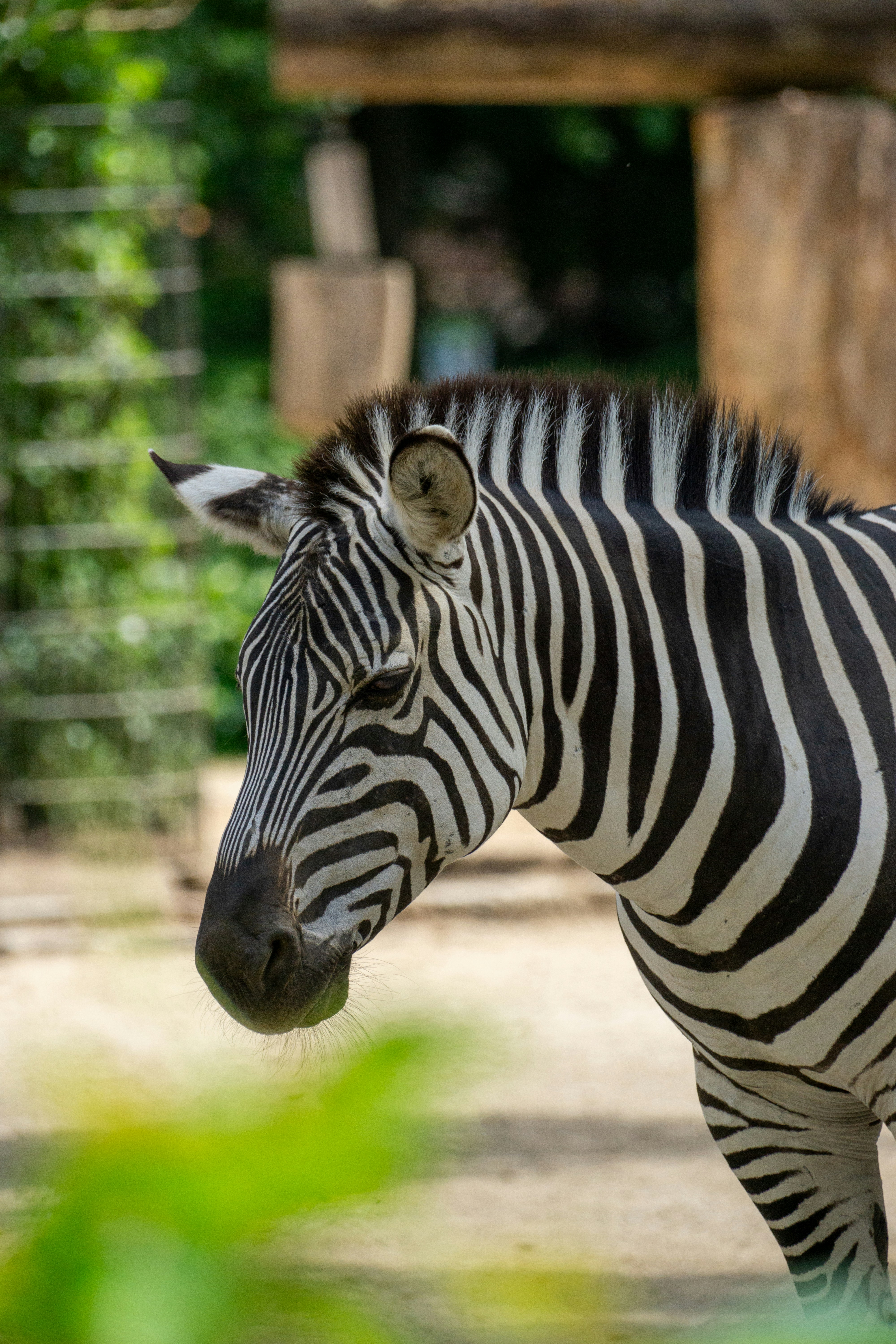 Photo by robertschwarz