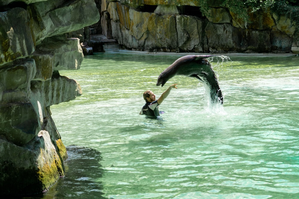 eine Person in einem Gewässer mit einem Delphin