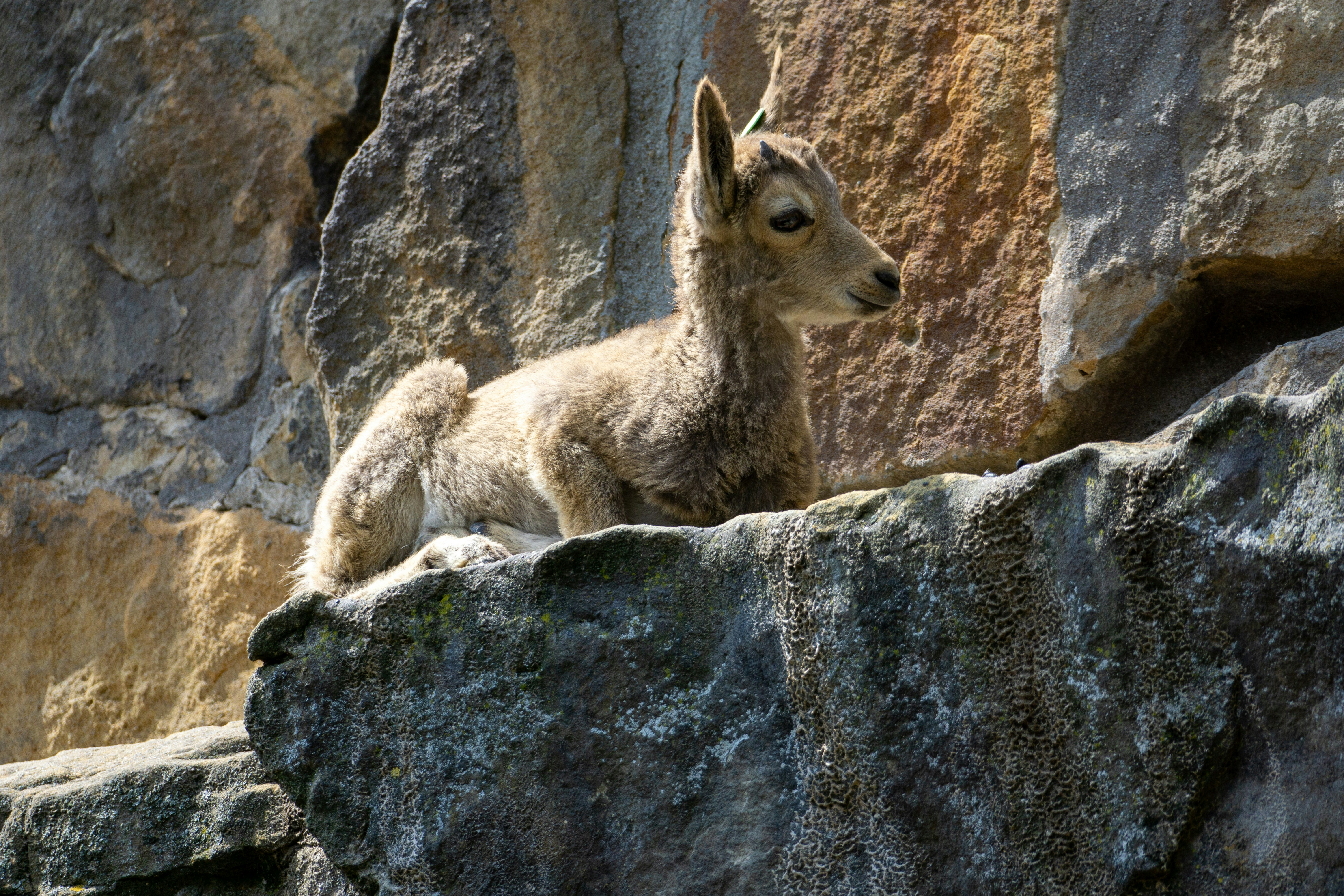 Photo by robertschwarz