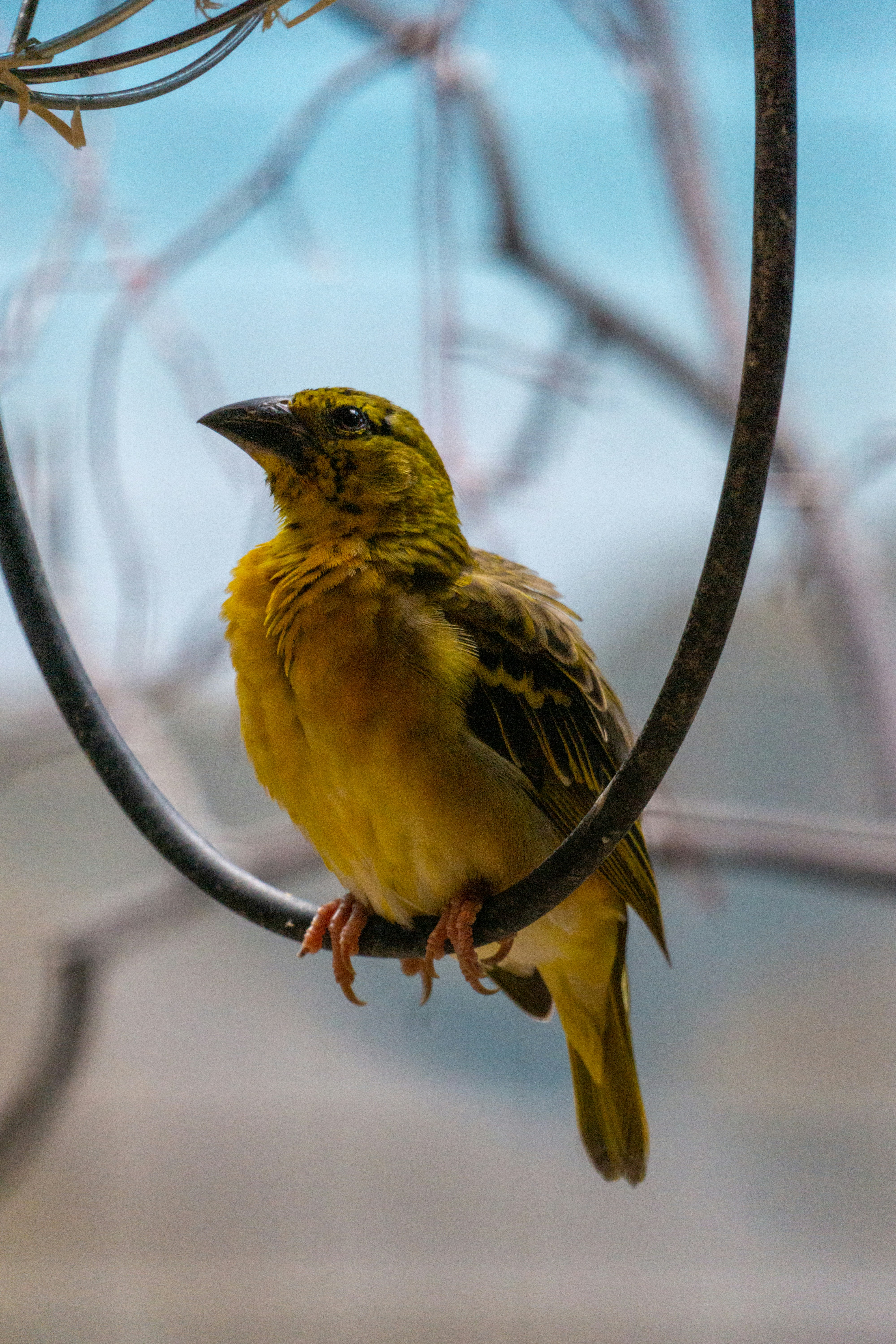 Photo by robertschwarz