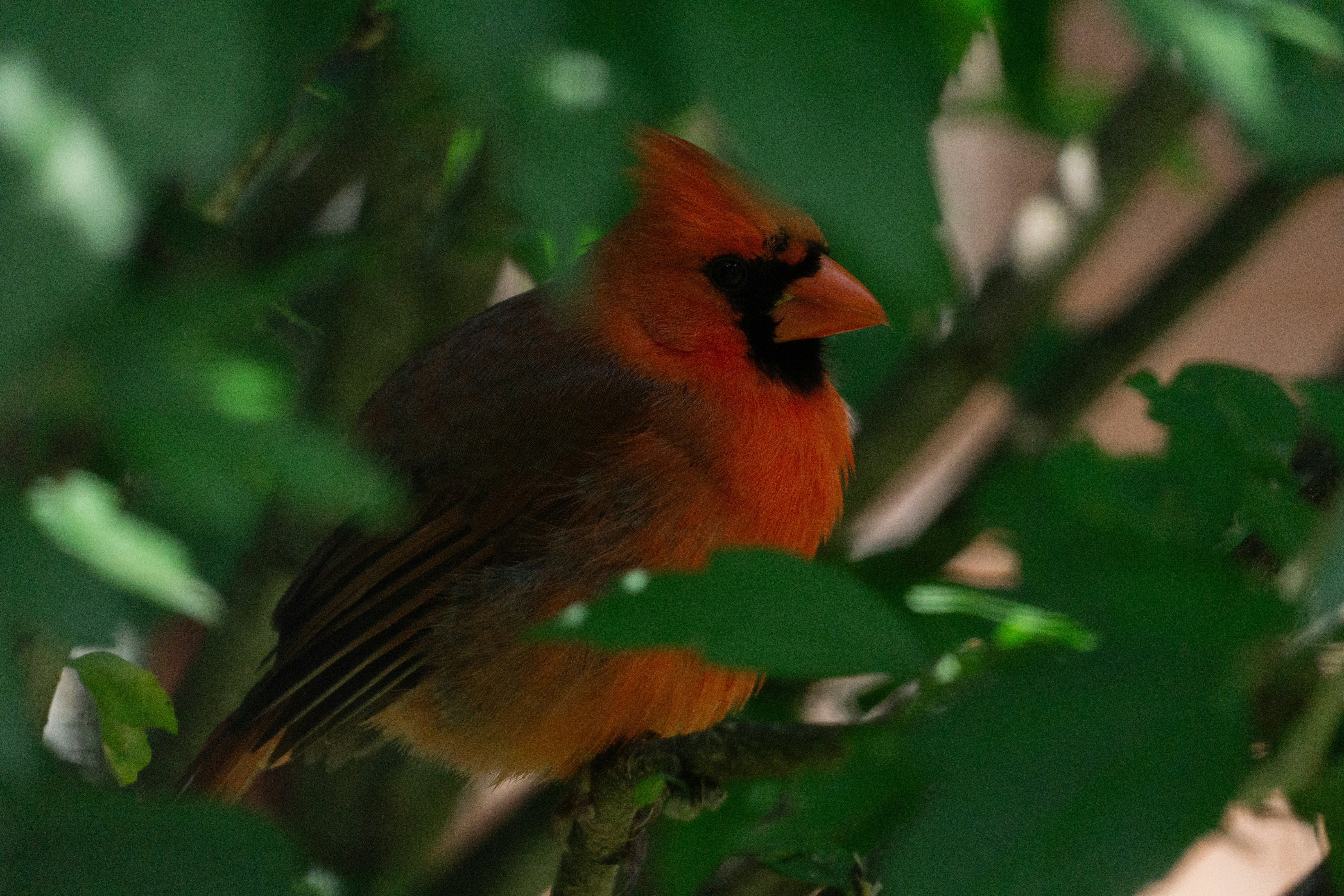 Photo by robertschwarz