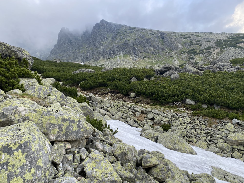 a rocky area with a mountain in the background