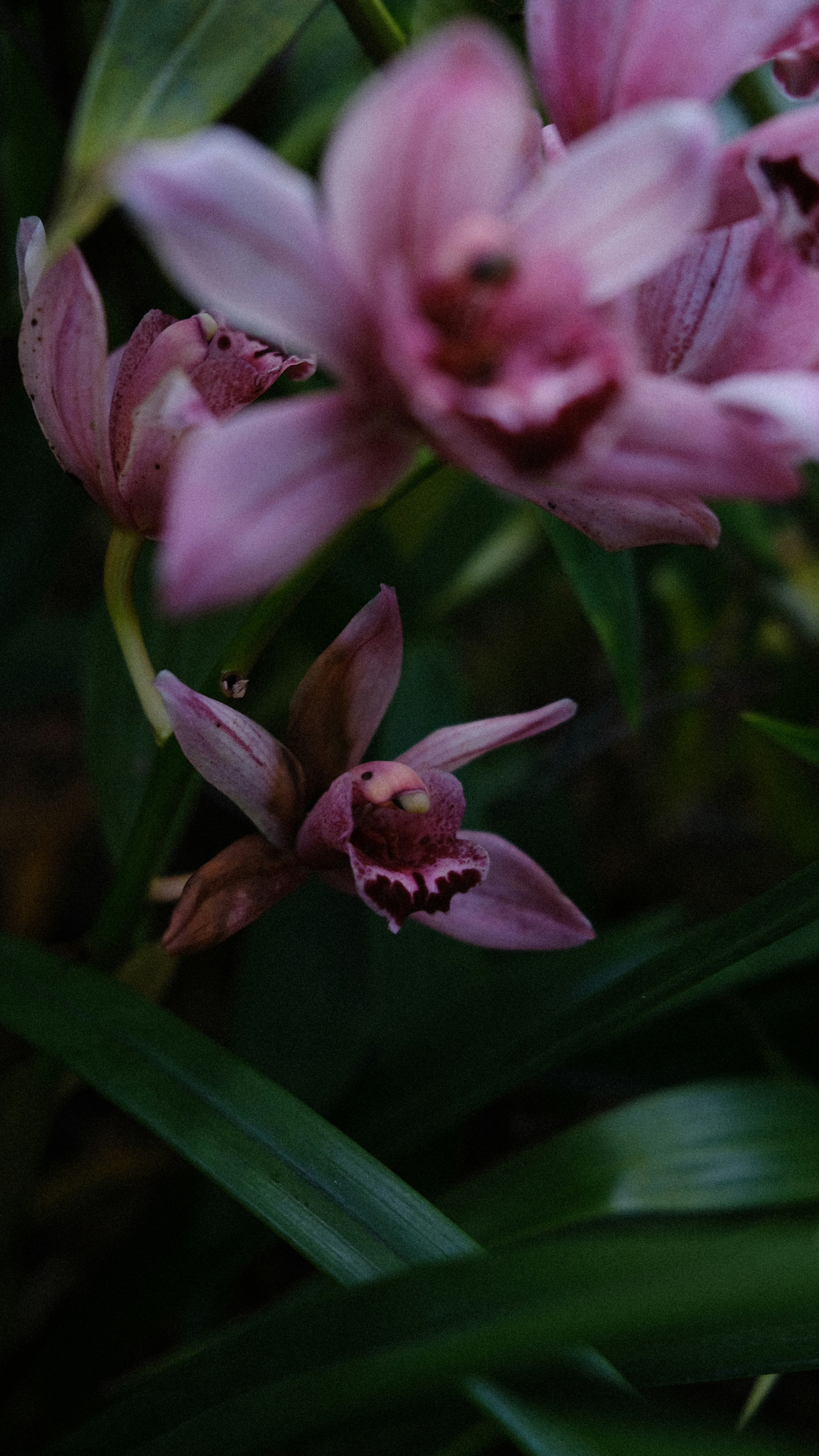 Photo by fromary