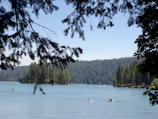 Drone shot capturing multiple paddleboarders exploring the vast, serene lake surrounded by forest