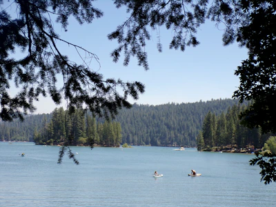 Drone shot capturing multiple paddleboarders exploring the vast, serene lake surrounded by forest