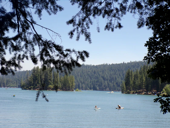 A group of friends enjoying paddle boarding on a serene blue lake surrounded by lush greenery.