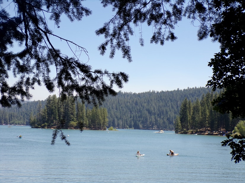 A serene lake surrounded by dense forest. Several people are paddleboarding on the calm water. Pine branches frame the scene from above, adding a natural border to the picturesque view.