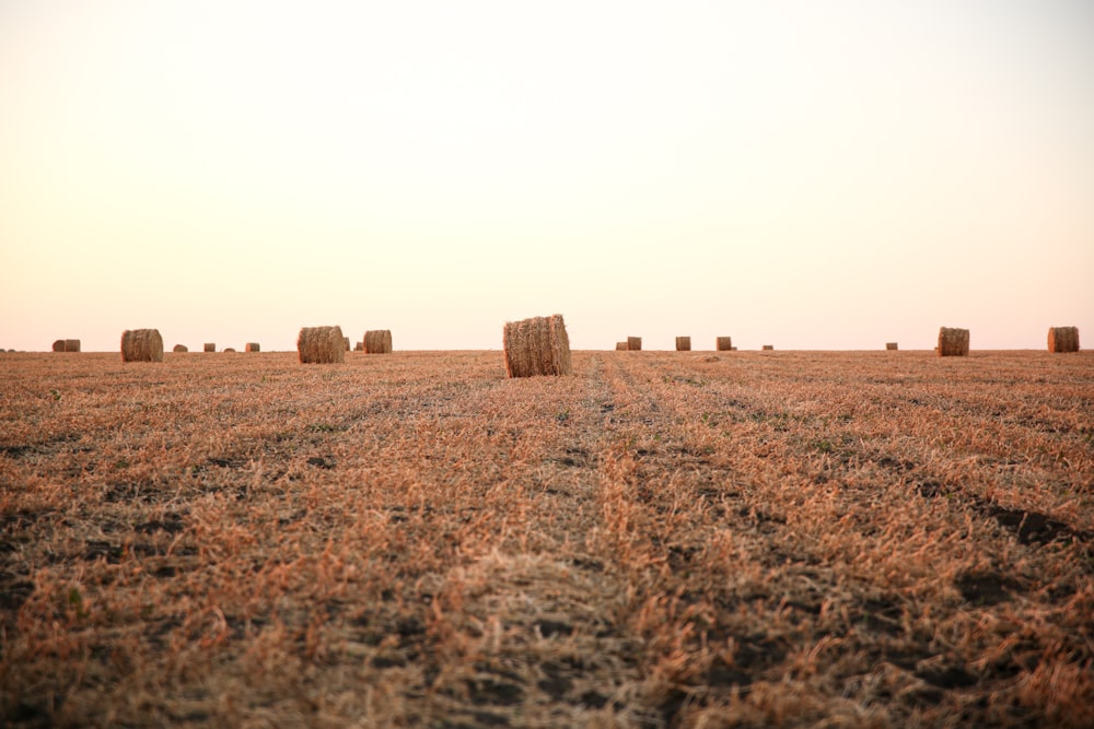 a field with hay bales in the middle of it