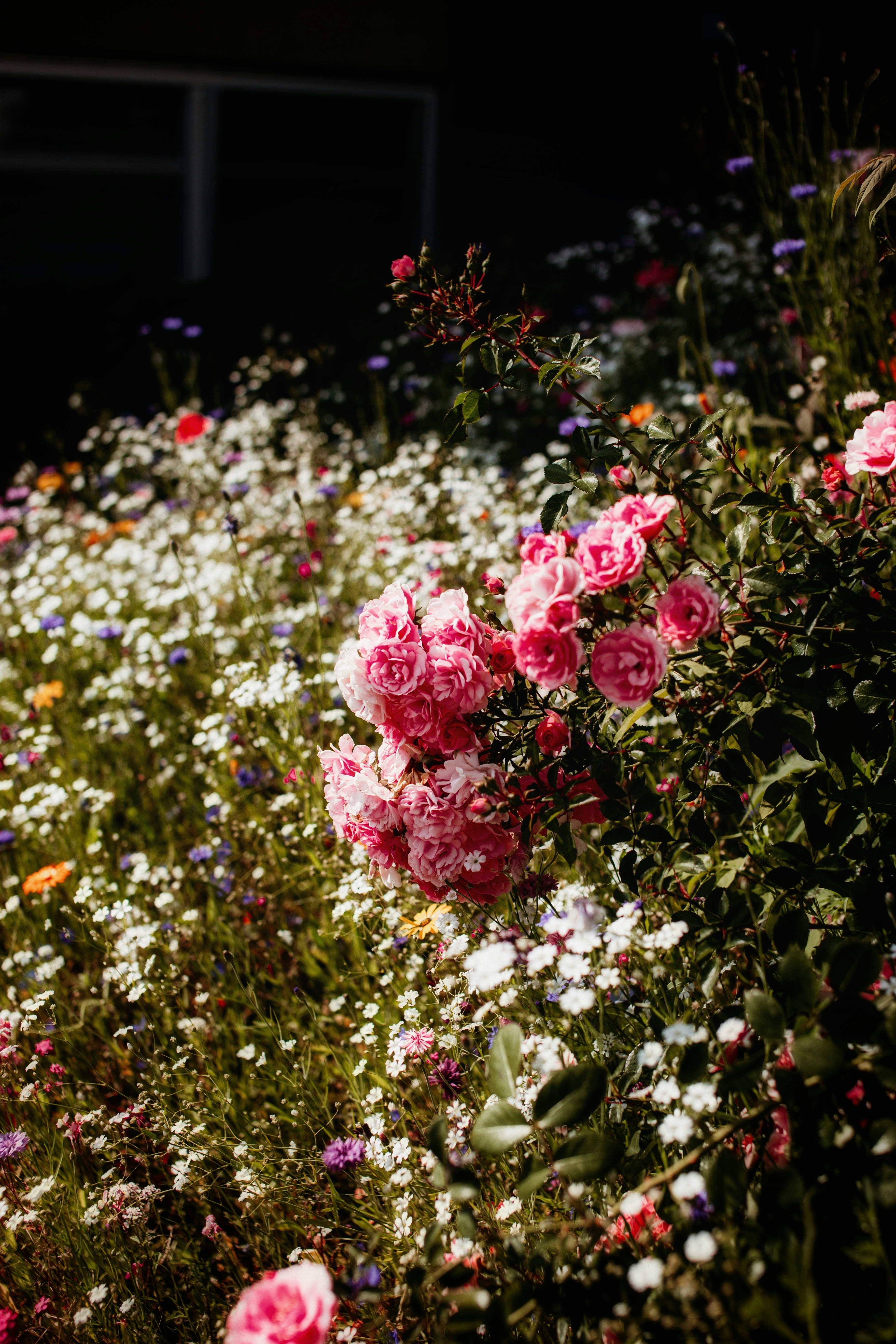 Photo by richmondarcher