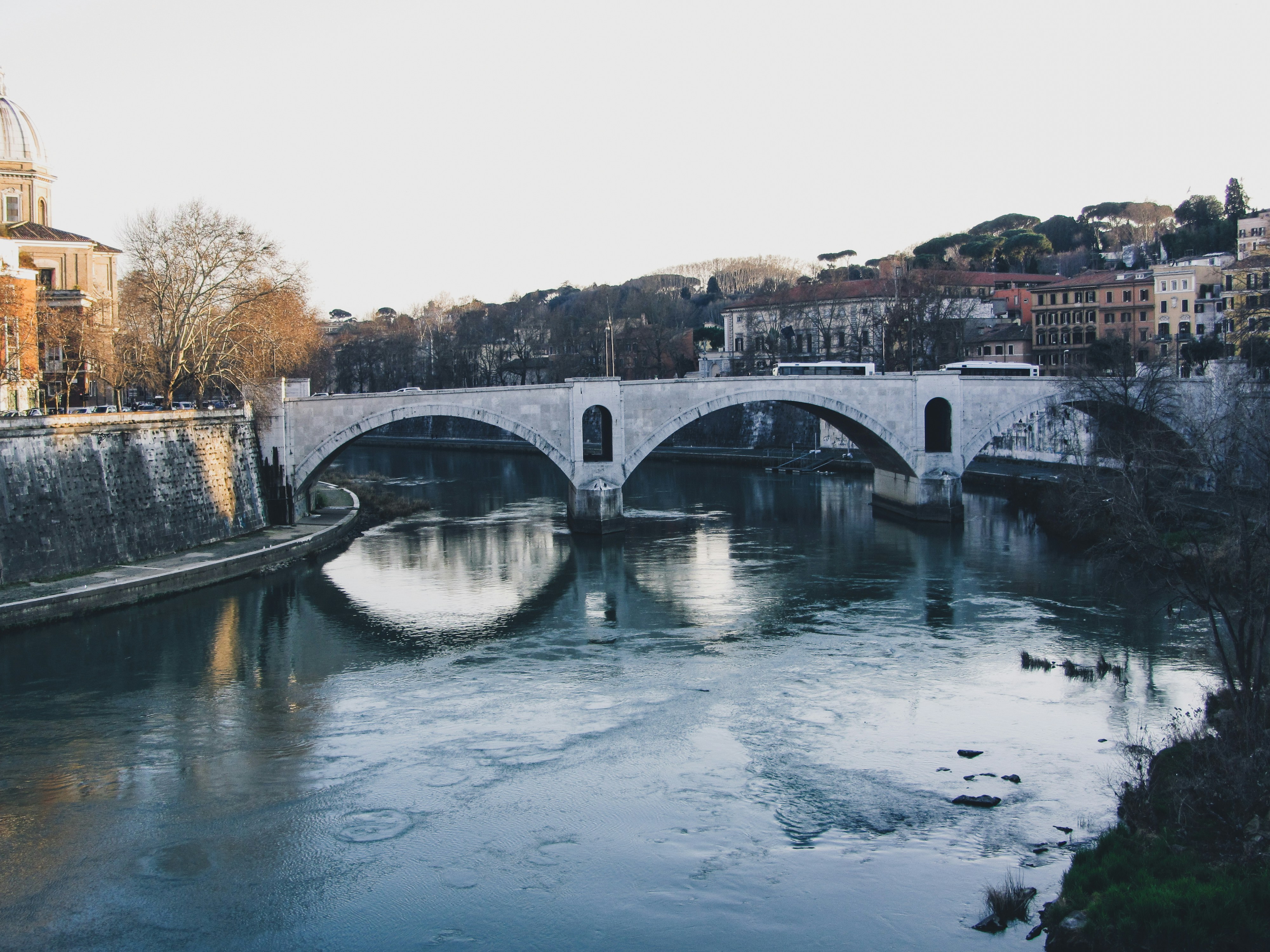 Photo by clovegrove7